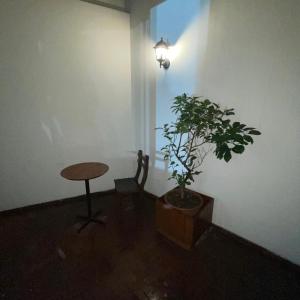 hotel el plaza centro de lima