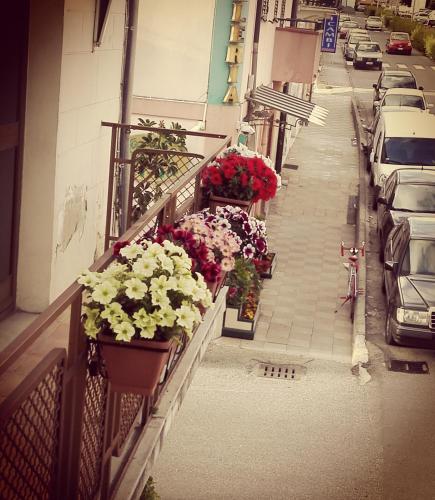 albergo bandb ristorante grace