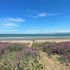 whispering sands beachfront motel