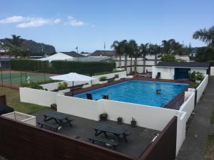 palm pacific resort and motel