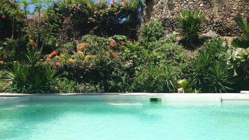 marijani holiday resort