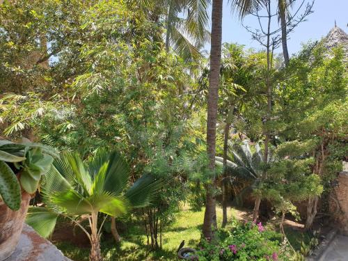 marijani holiday resort