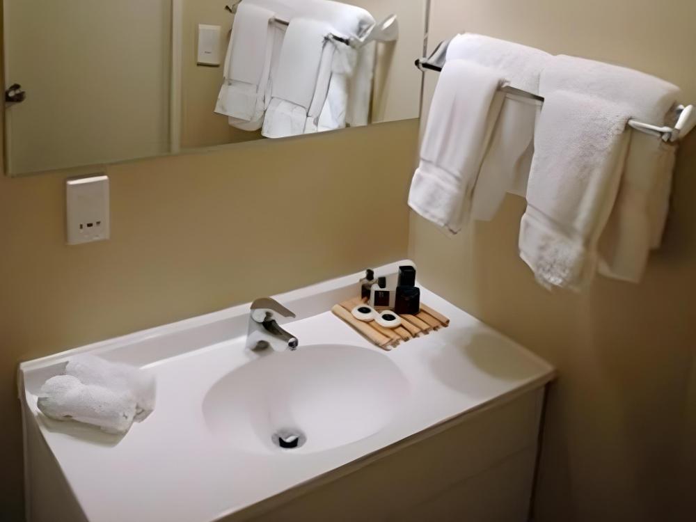 the haven newmarket suites