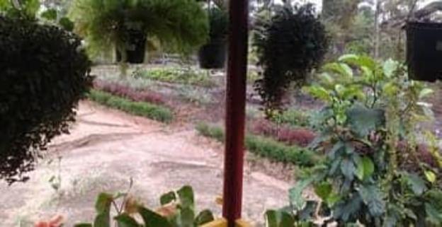 coorg