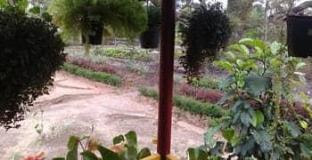 coorg
