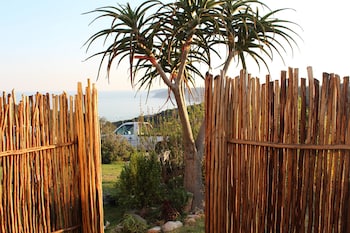 the wild farm hostel