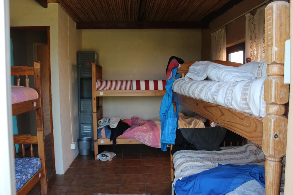 the wild farm hostel