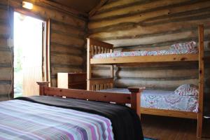 the wild farm hostel