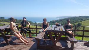 the wild farm hostel