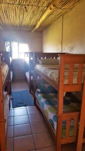 the wild farm hostel