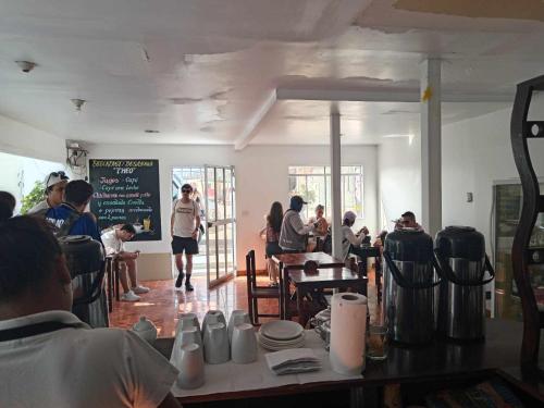 hostel willys house