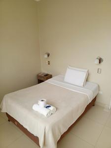 hostel willys house