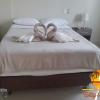 hostel willys house
