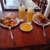 hostel willys house