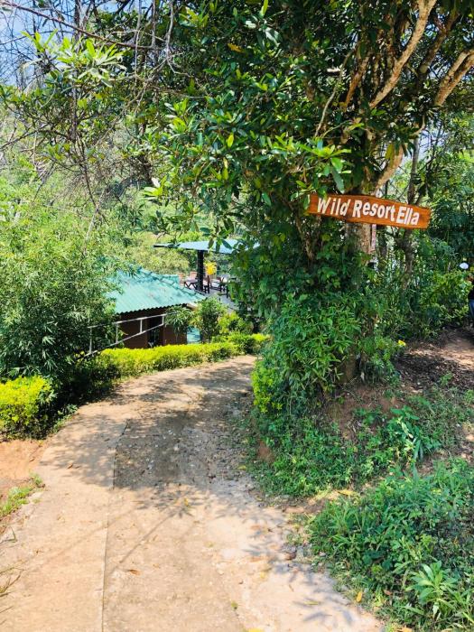 wild resort ella