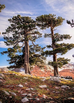 san raffaele hotel restaurant and resort