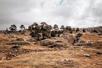 san raffaele hotel restaurant and resort