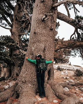 san raffaele hotel restaurant and resort