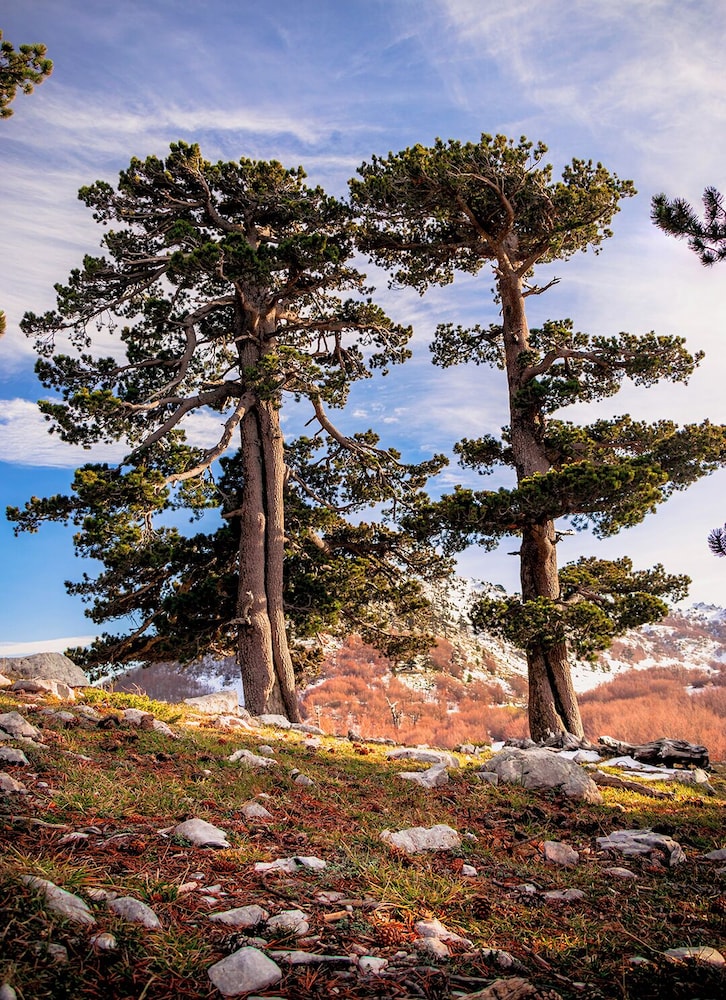 san raffaele hotel restaurant and resort