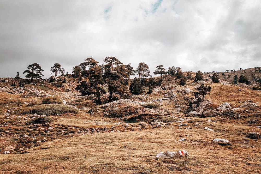 san raffaele hotel restaurant and resort