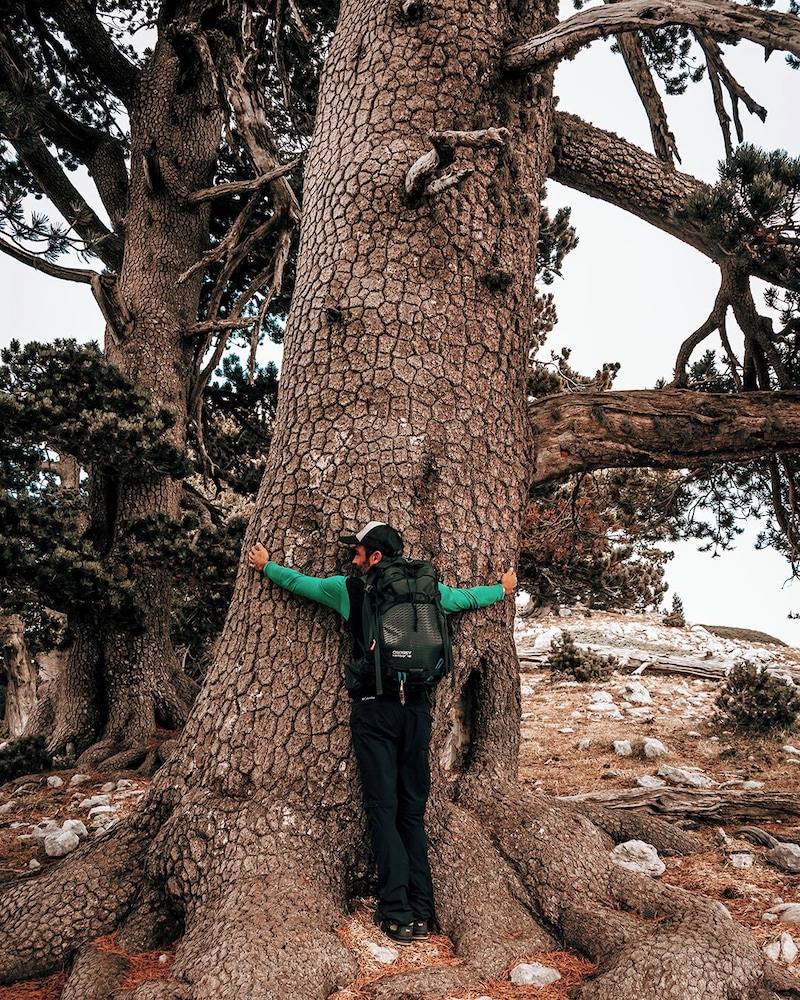 san raffaele hotel restaurant and resort