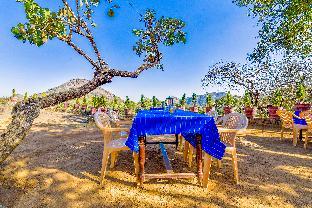 hotel castle rock mount abu by sah