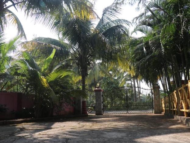 suryansh beach resort