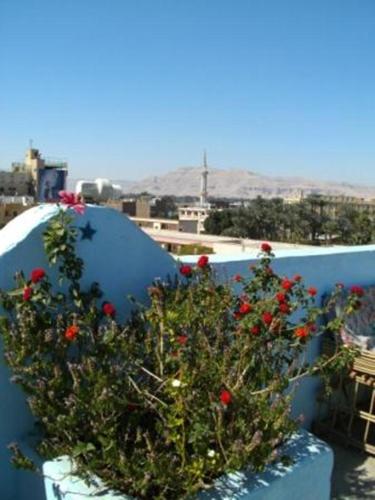 bob marley house sherief hotel luxor