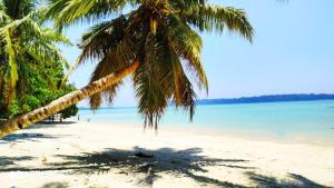 havelock island