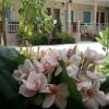 suksopha resort
