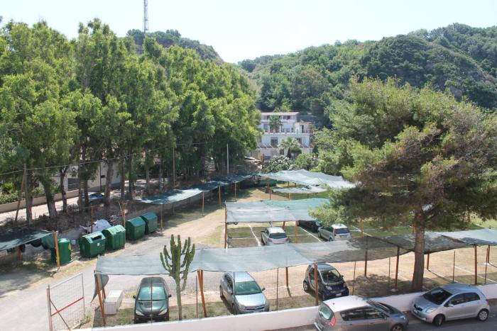 palmi