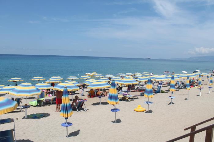 palmi