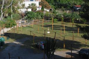 palmi