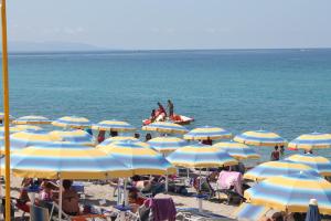 hotel south paradise