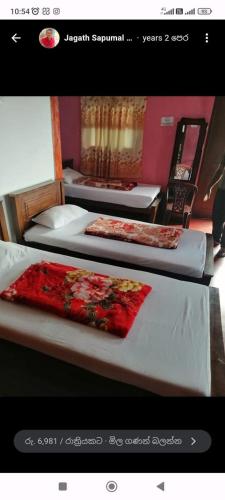 the mist holiday bungalow