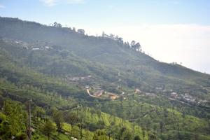 the mist holiday bungalow