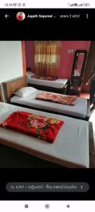 the mist holiday bungalow