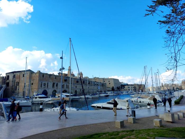 cospicua