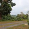 gampola
