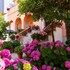amadei hotel blumen