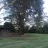 storms resort nanyuki
