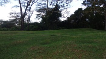 storms resort nanyuki