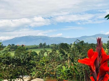 koi koi cultural village hotel