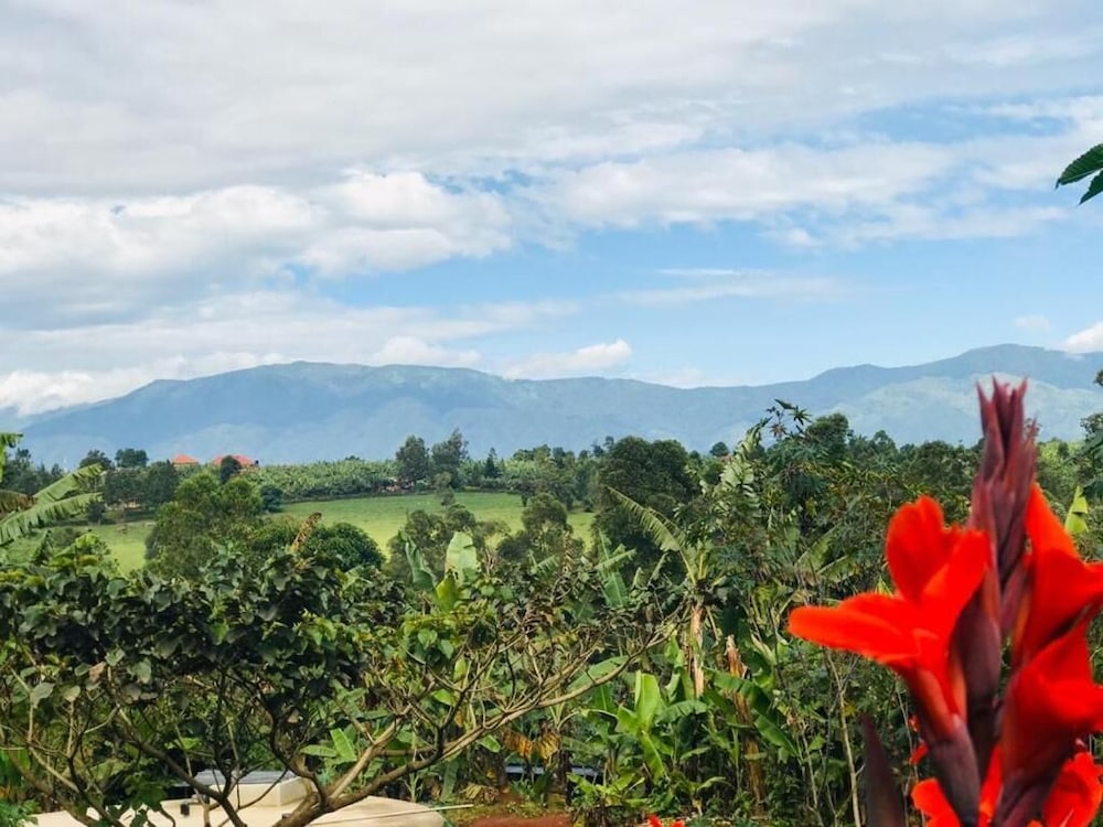 koi koi cultural village hotel