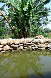 koi koi cultural village hotel