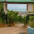 elmina
