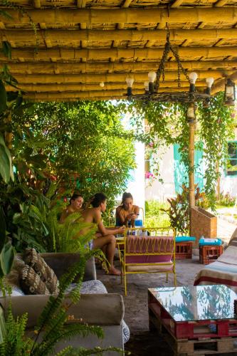 the upcycled hostel huacachina