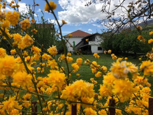 kitka hostel vratnica