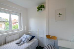 family guesthouse greenslo