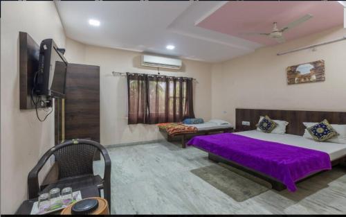 udaipur